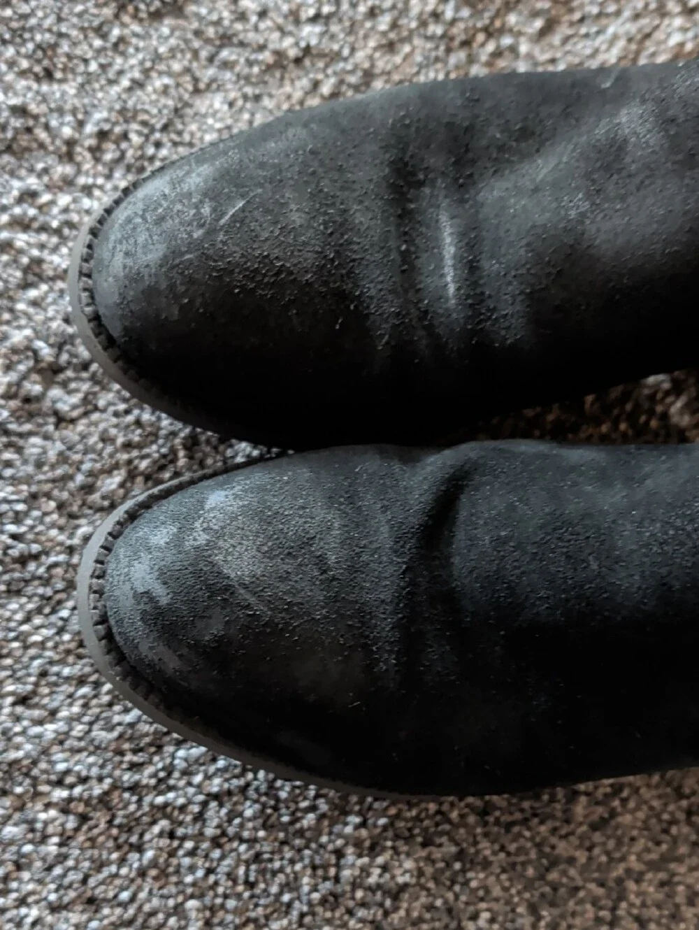 Frye Black Suede Chelsea Ankle Booties
